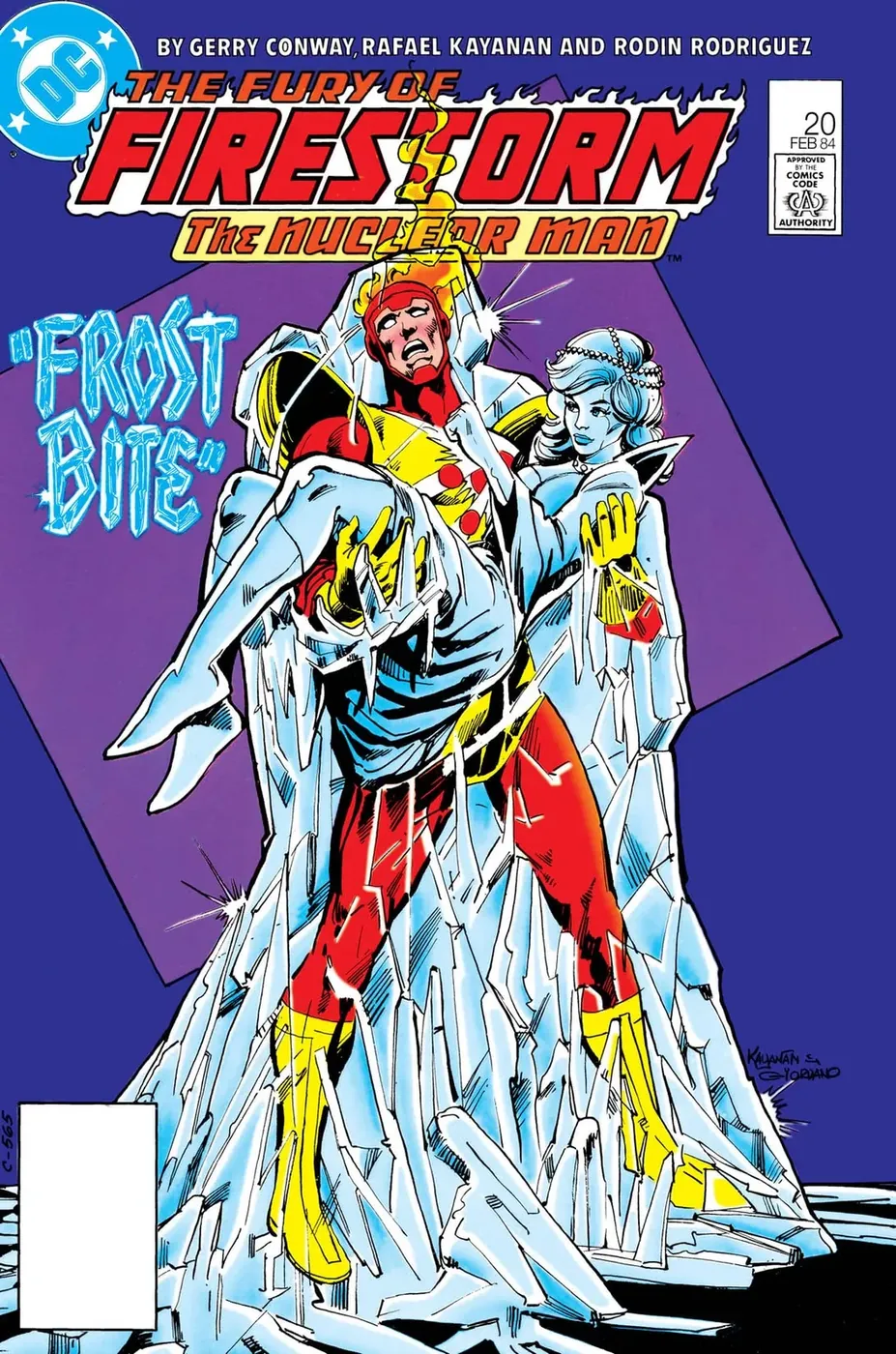 Cover of The Fury of Firestorm #20