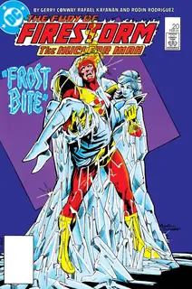 Cover of The Fury of Firestorm #20