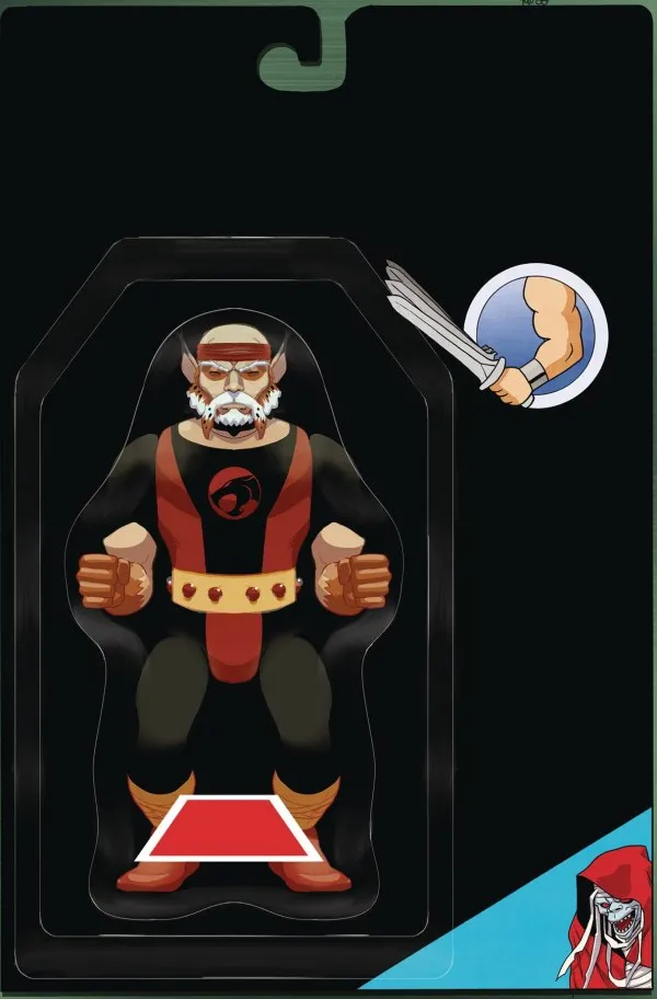 Cover of ThunderCats #19