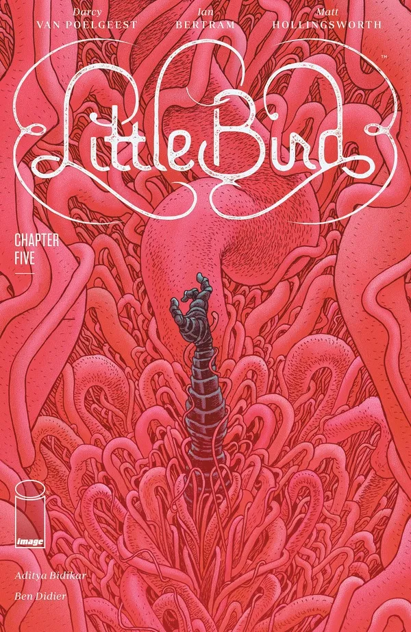 Cover of Little Bird #5