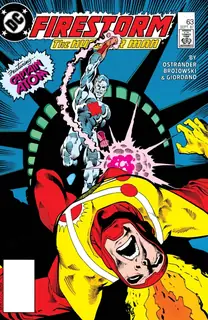 Cover of The Fury of Firestorm #63