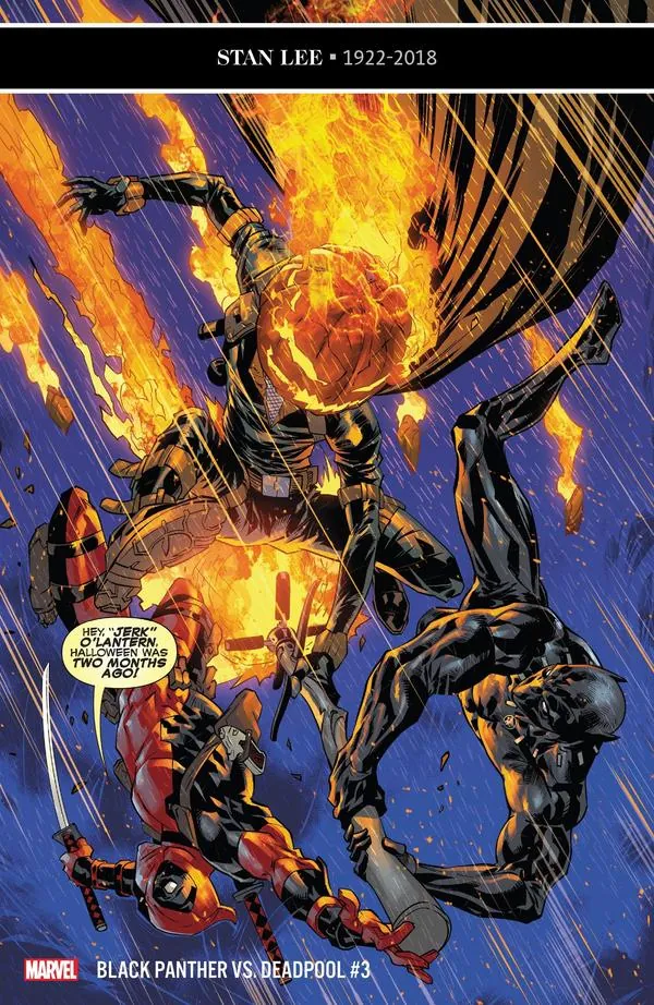 Cover of Black Panther vs Deadpool #3