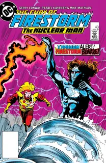 Cover of The Fury of Firestorm #43