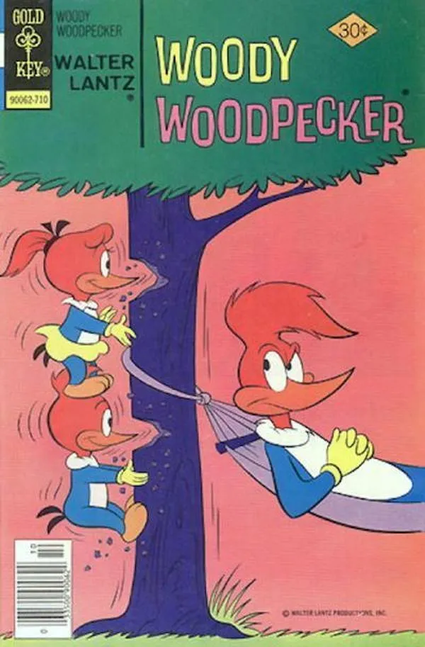 Cover of Walter Lantz Woody Woodpecker #161