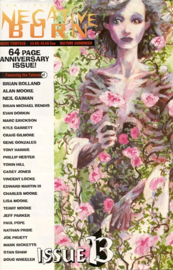Cover of Negative Burn #13