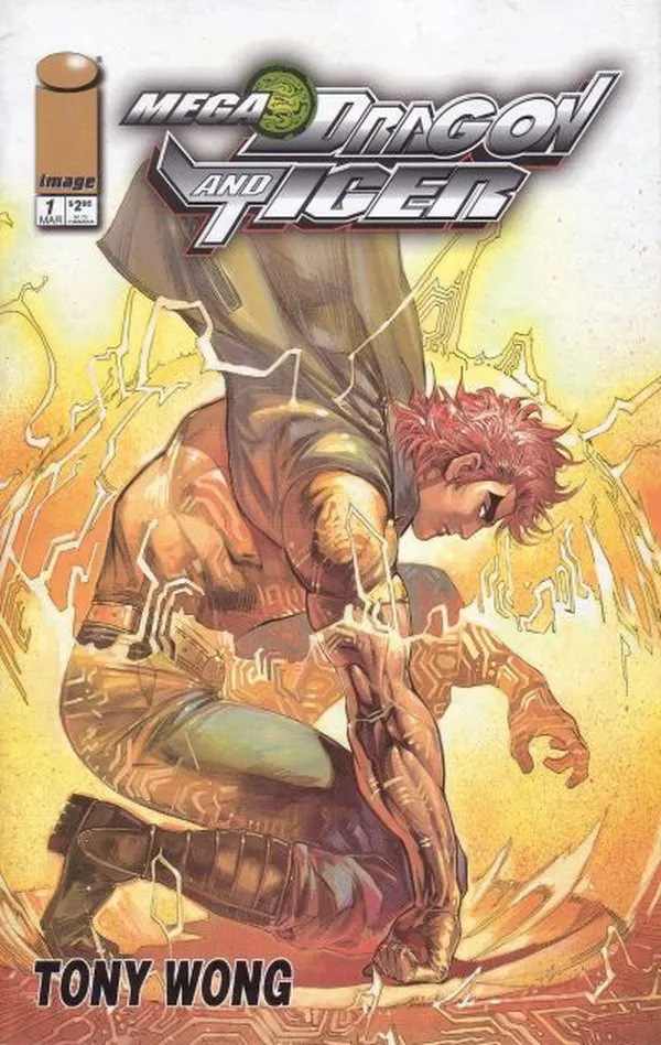 Cover of Mega Dragon & Tiger #1