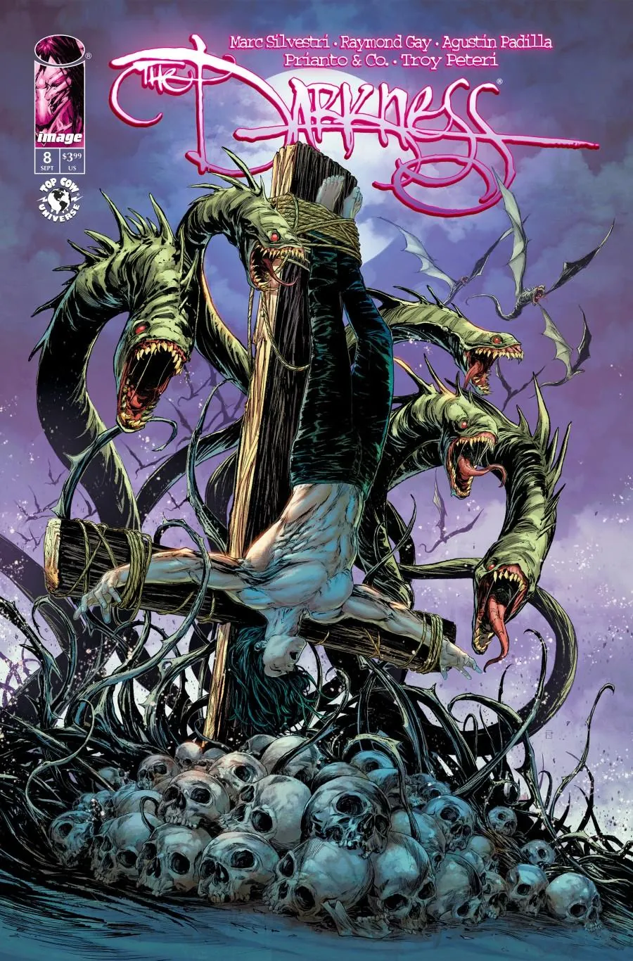 Cover of The Darkness #8