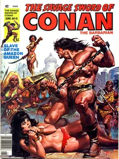 Cover of The Savage Sword of Conan #41