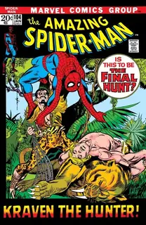 Cover of The Amazing Spider-Man #104