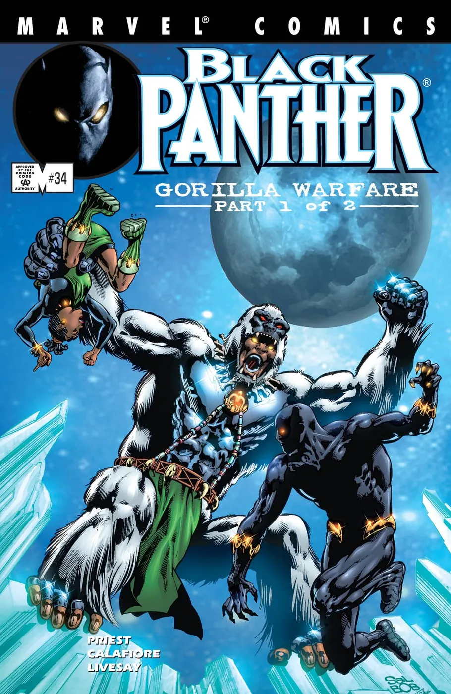 Cover of Black Panther #34