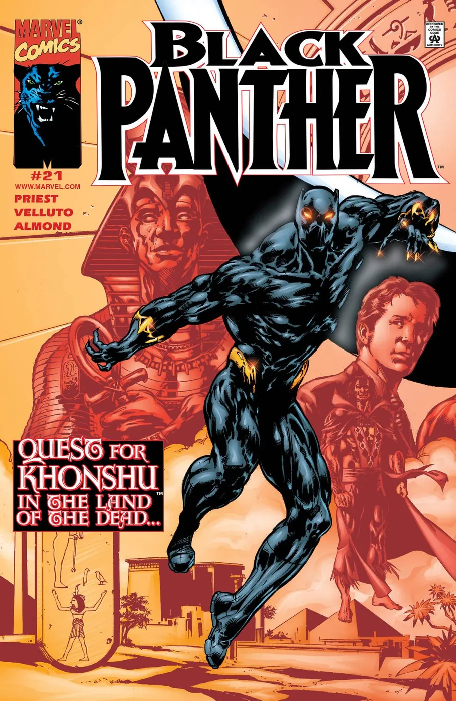 Cover of Black Panther #21