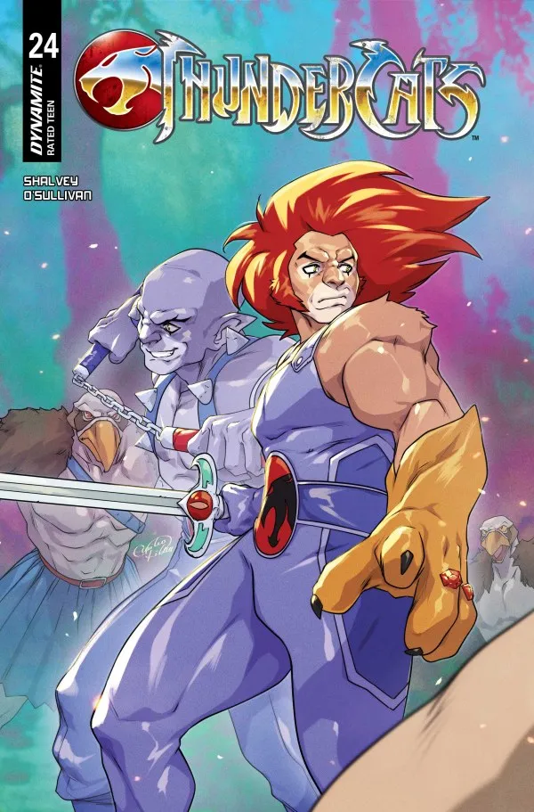 Cover of ThunderCats #24