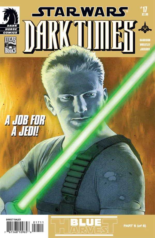 Cover of Star Wars: Dark Times #17