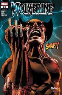 Cover of Wolverine #22 (414)