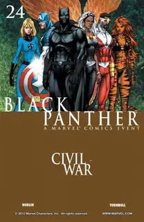 Cover of Black Panther #24