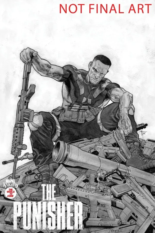 Cover of Marvel Knights: Punisher #2