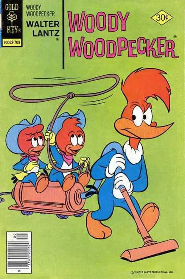 Cover of Walter Lantz Woody Woodpecker #160
