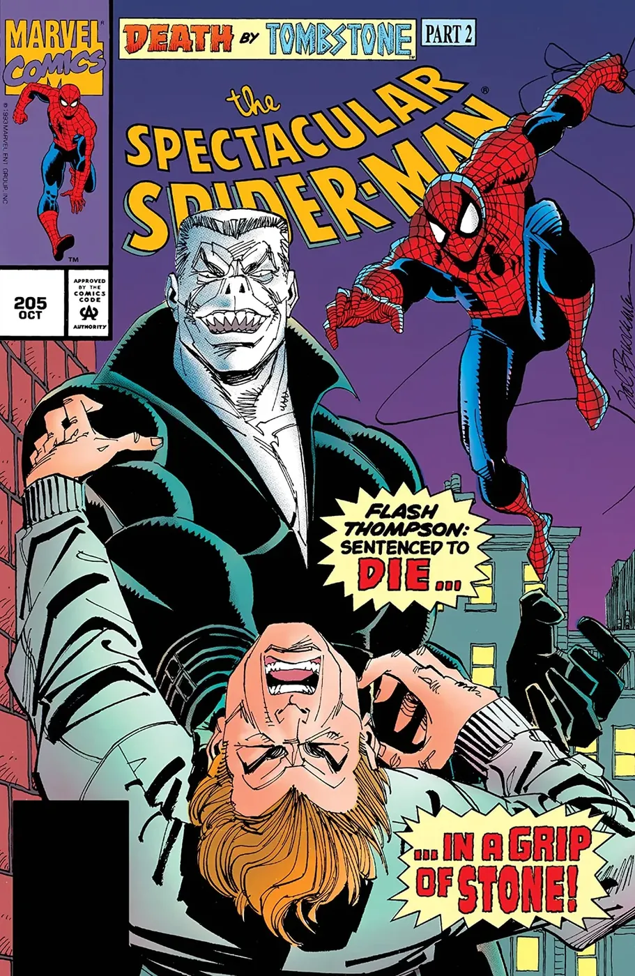Cover of The Spectacular Spider-Man #205