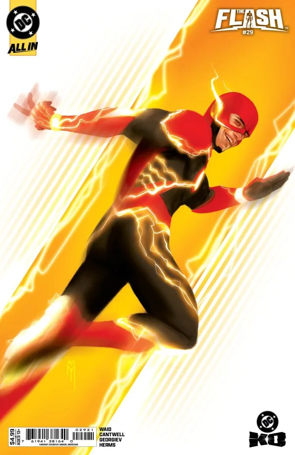 Cover of The Flash #29