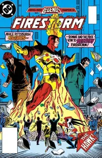 Cover of The Fury of Firestorm #56