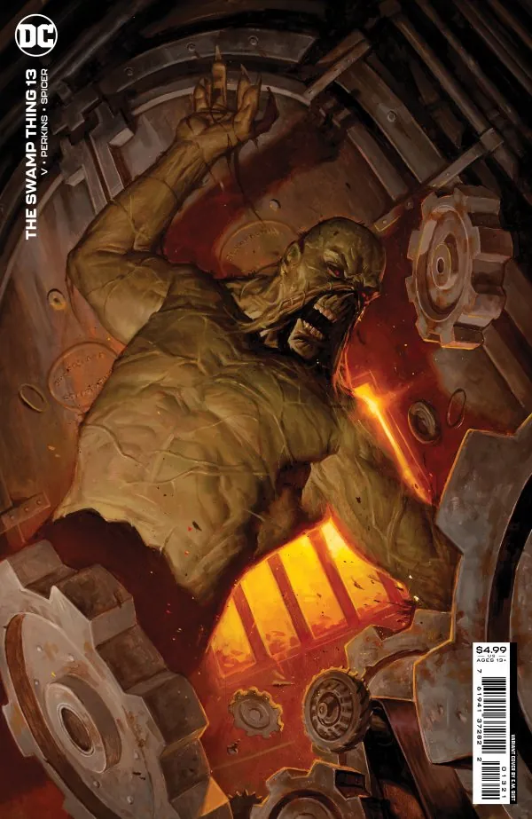 Cover of The Swamp Thing #13