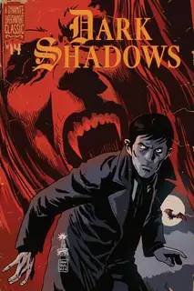 Cover of Dark Shadows #14
