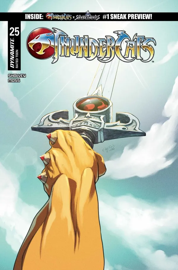 Cover of ThunderCats #25