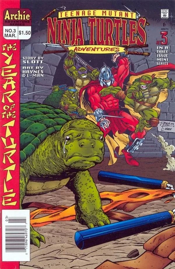Cover of Teenage Mutant Ninja Turtles Adventures #3