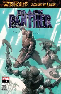Cover of Black Panther #10 (182)