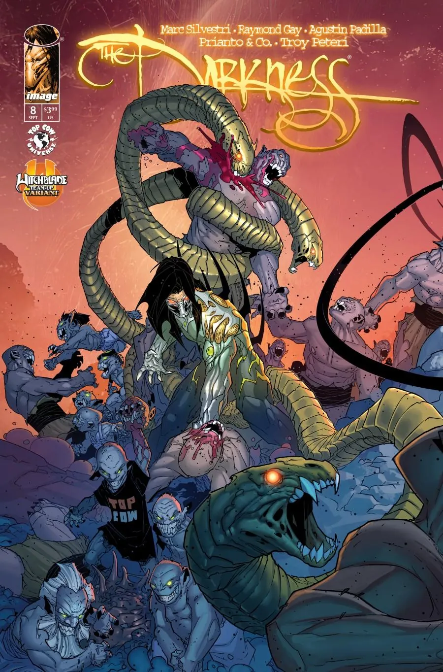 Cover of The Darkness #8