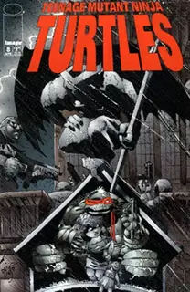 Cover of Teenage Mutant Ninja Turtles #8