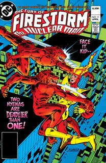 Cover of The Fury of Firestorm #11