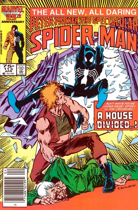 Cover of The Spectacular Spider-Man #113