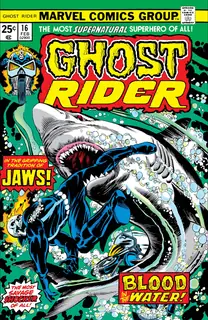 Cover of Ghost Rider #16