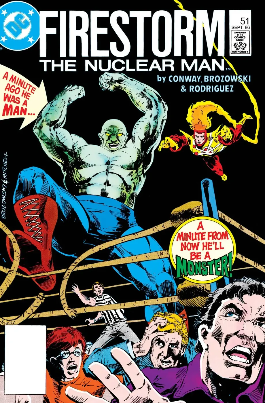 Cover of The Fury of Firestorm #51