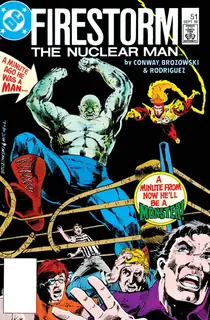 Cover of The Fury of Firestorm #51
