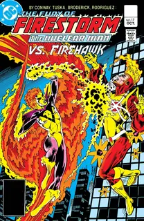 Cover of The Fury of Firestorm #17