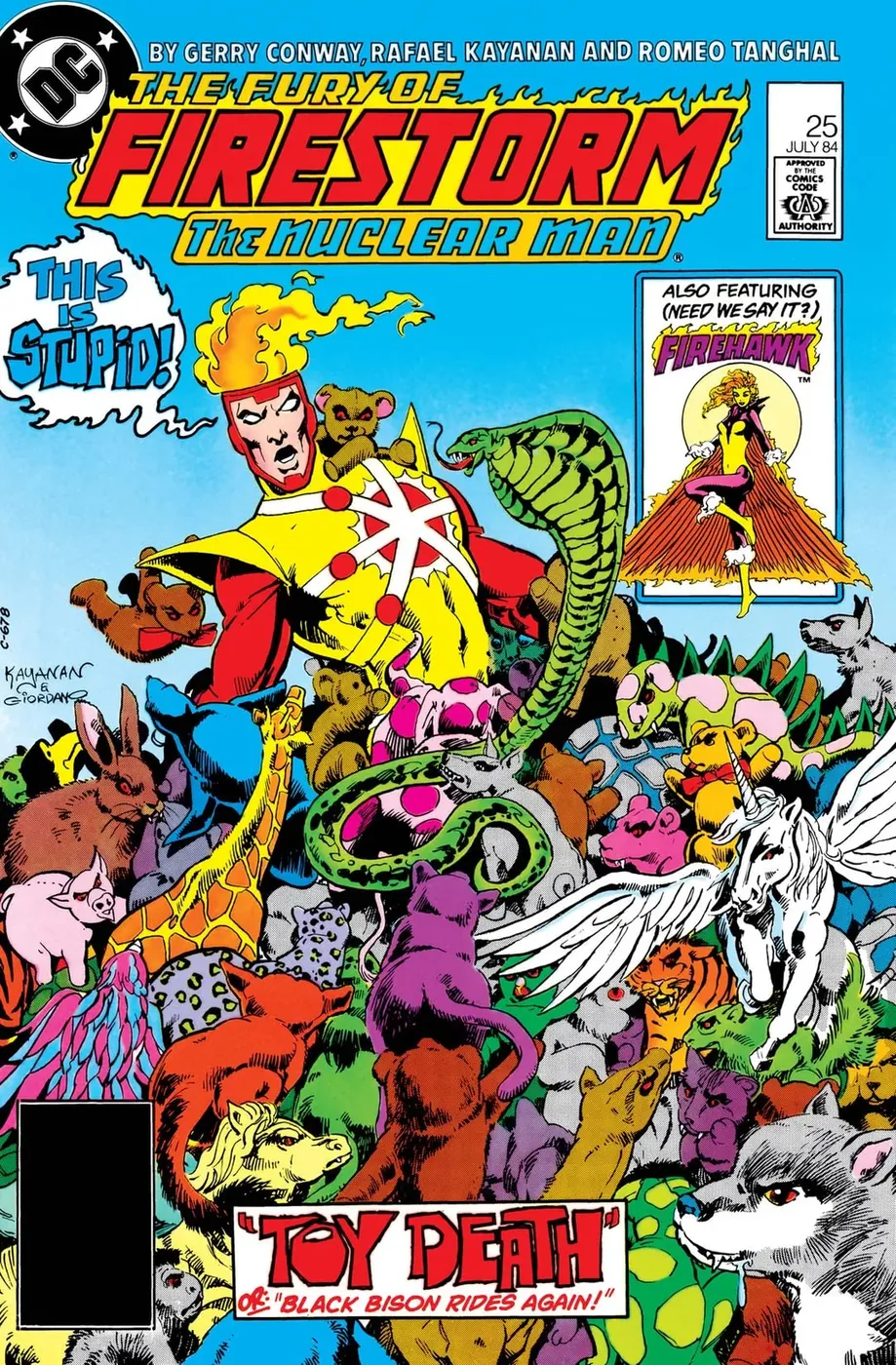 Cover of The Fury of Firestorm #25