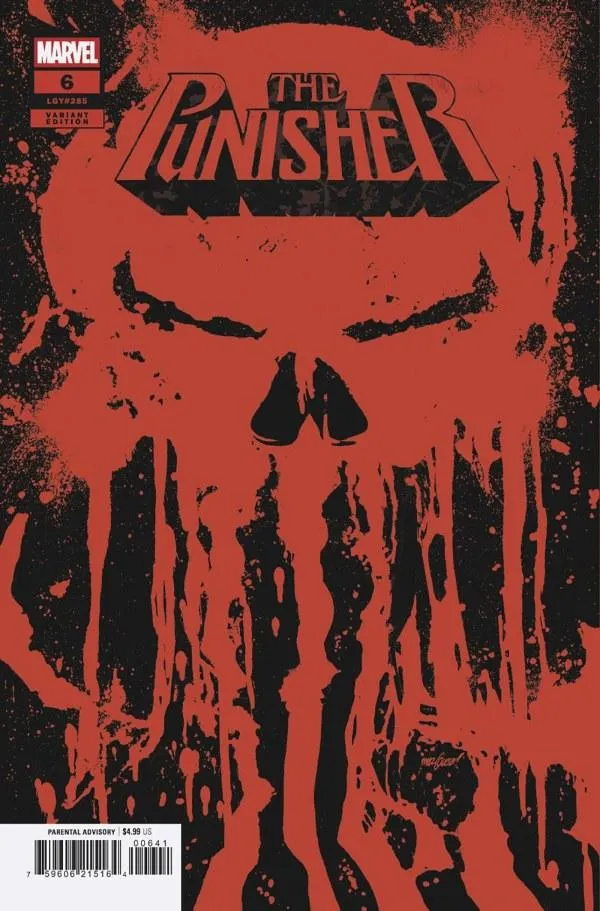 Cover of Punisher #6 (285)