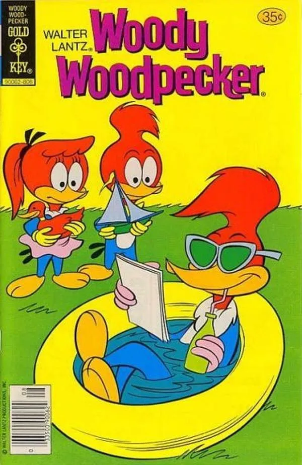 Cover of Walter Lantz Woody Woodpecker #169