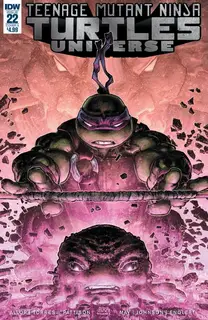 Cover of Teenage Mutant Ninja Turtles Universe #22