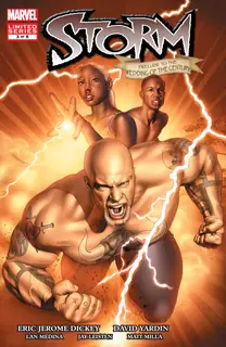 Cover of Storm #3
