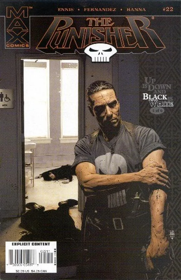 Cover of Punisher #22