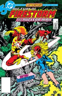 Cover of The Fury of Firestorm #41