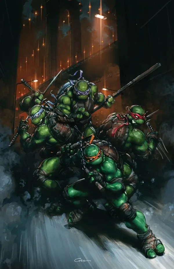 Cover of Teenage Mutant Ninja Turtles #13