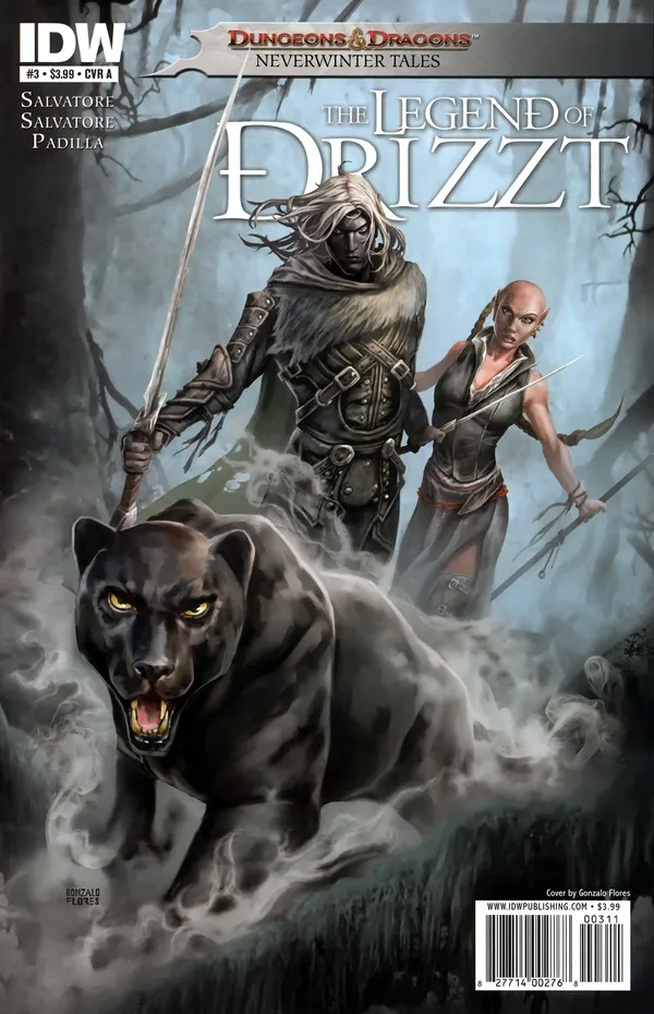 Cover of Dungeons & Dragons: The Legend of Drizzt: Neverwinter Tales #3