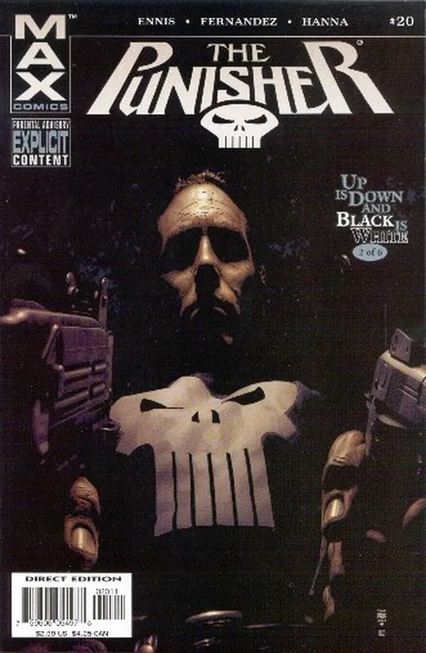 Cover of Punisher #20