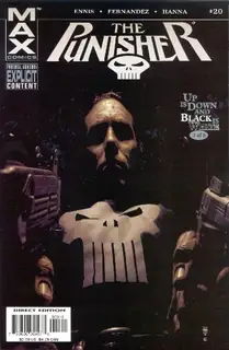Cover of Punisher #20