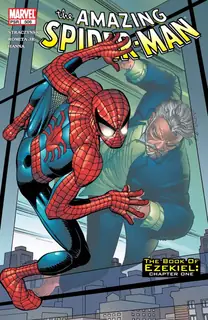 Cover of The Amazing Spider-Man #506