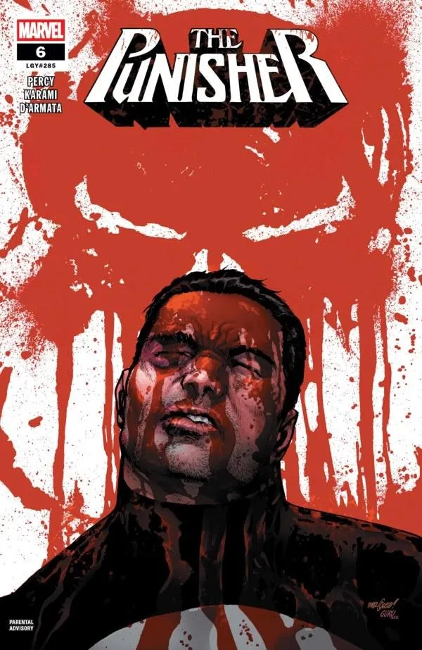 Cover of Punisher #6 (285)
